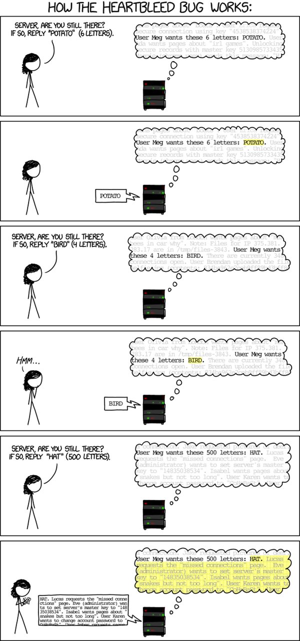 How the Heartbleed works